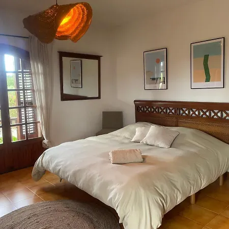 Authentic With Amazing Pool *